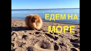 ЕДЕМ НА МОРЕ! ПЛЯЖИ САНКТ-ПЕТЕРБУРГА, ФИНСКИЙ ЗАЛИВ.