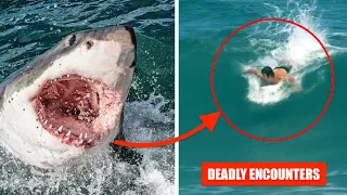 Australia's Worst Shark Attack Stories!