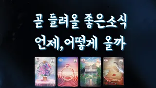 【타로운세】곧 들려올 좋은소식&행운🧚🏻‍♀️연애운,직업운,금전운,애정운,재물운,취업운,합격운,계약운,성공운 타로🌷fortune tarot