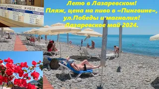 Пингвин! И все остальное! Лазаревское в мае 2024.🌴ЛАЗАРЕВСКОЕ СЕГОДНЯ🌴СОЧИ.