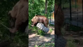 Верхом на покрышке/Прямой эфир инстаграм 19.06.19