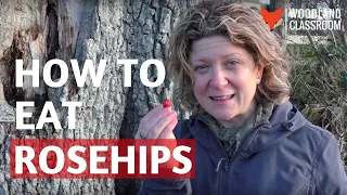 How to Eat Rosehips