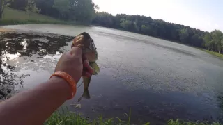 Summer Lake House Bass Fishing - GoPro