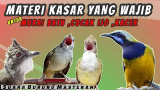 MASTERAN BURUNG MURAI BATU ,CUCAK IJO ,KACER || MASTERAN FULL TEMBAKAN KASAR - WAJIB