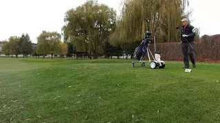 Segway Ninebot S plus (or mini plus) golf cart