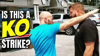 The Brachial Stun Used by Police | Forearm Strikes | Karate Chops ARE Legit!