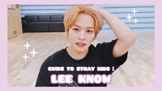 helpful guide to stray kids : Lee Know