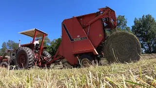 More Beautiful Hay!