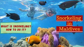 What is Snorkeling? How to do Snorkeling | Snorkeling in Maldives #snorkelingtips #snorkelingvideo