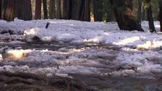 Frazil Ice on Yosemite Creek