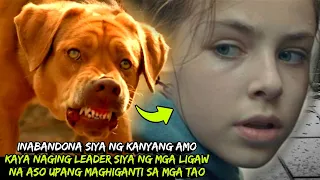 Naging MABANGIS at LEADER siya ng mga LIGAW na ASO upang MAGHIGANTI sa mga TAO | Tagalog Movie Recap