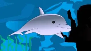 MEKWILAUGH   Dolphin vs  Shark