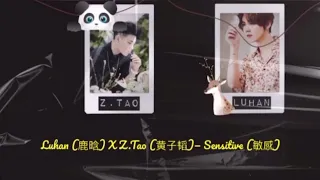 Luhan (鹿晗),  Z.Tao (黄子韬) — Sensitive (敏感) Lyrics (Pinyin/Eng/Ind)