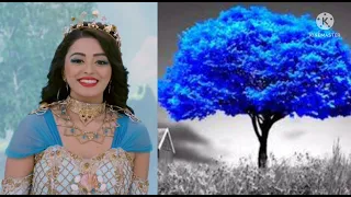 Balveer return new matching video Vs beautiful tree 🌲 picture//Top RM