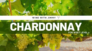 Beginners Guide to Chardonnay (WSET L1 and 2)