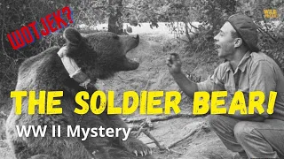 The heart-melting story of Wojtek - WWII Soldier bear