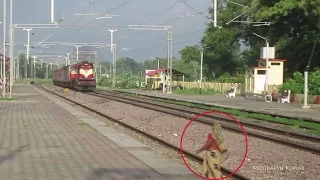 Crazy Woman trying to cross tracks infront of speeding train- 11015 Kushinagar Express
