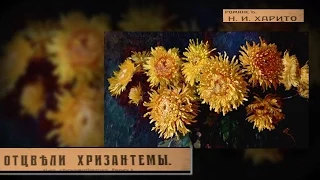 Отцвели хризантемы... романс Н.Харито/ Chrysanthemums in the garden