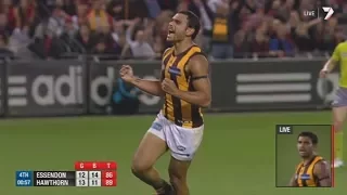 AFL 2014: Round 2 - Hawthorn highlights vs. Essendon