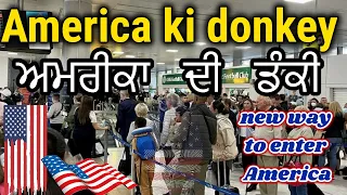 America ki donkey | USA ki donkey flight |  new way to enter in America ✈️🇵🇰🇺🇸🇮🇳