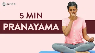 5 Min  Pranayama | Fit In Five | Yoga Poses At Home | Yoga For Beginners | CultFit