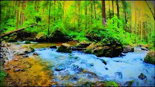 beautiful surah Rehman recitation slowed+reverb #surah Rehman #relaxing# quran recitation#fyp#