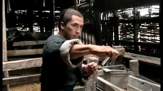 Donnie Yen - Wu Xia - Dragon - Fighting Scenes UHD 4K