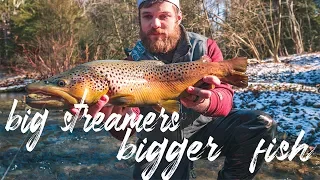 Wild Brown of a Life Time | Big Streamers for Bigger Fish