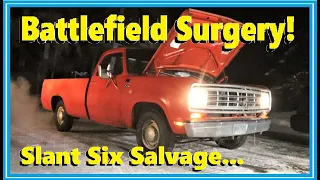 Seized Solid and Sitting since 1980... Can We Get This Sweet 1975 Dodge Pickup Going Again?