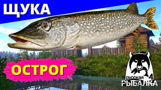 ЩУКА ► Старый ОСТРОГ ► СУПЕР КЛЁВ ► РУССКАЯ РЫБАЛКА 4 ► ФАРМ 🔴 Russian Fishing 4 🔴 РР4 RF4