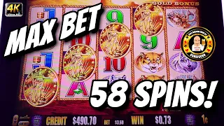 58 FREE SPINS on MAX BET on Buffalo Gold