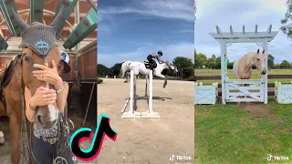 THE MOST BEAUTIFUL HORSE TikTok Compilation 2022 #48