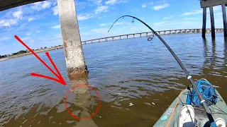 This BRIDGE MONSTER pulled my KAYAK **New PB** (Jacksonville, Fl)