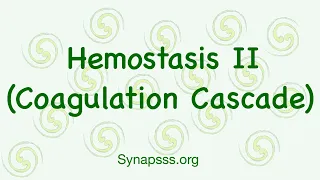 Hemostasis II, Coagulation Cascade, Intrinsic & Extrinsic pathways, PT & PTT, Thrombin, Endothelium