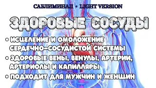 Здоровые сосуды | Саблиминал | Light Version