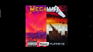 If Peace Sells But Who's Buying was on Master of Puppets