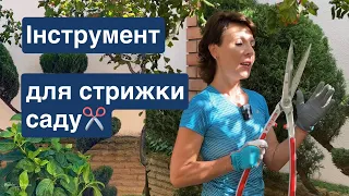 Як обрати садові ножиці ✂️КУЩОРІЗ ✂️САДОВИЙ Інструмент