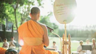 7-Day Meditation Retreat in Thailand (Dhammakaya Meditation Retreat DMR)