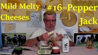 Mild Melty Cheeses #16 - Pepper Jacks