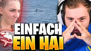 😨😳HAI direkt vor NOVA! Ich PACKE ES NICHT... 7vs Wild FOLGE 3 REAKTION | Trymacs Stream Highlights