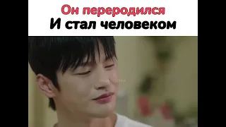 💞Он переродился и стал человеком💞//🎬ДОРАМА: Однажды разрушение вошло в дверь моего дома