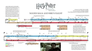 "Woods Walk & Bird's Flight" - Harry Potter and the Prisoner of Azkaban | Score Reduction & Analysis