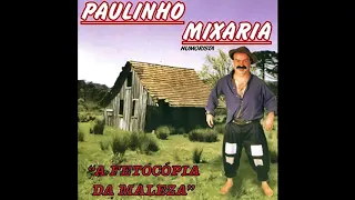 01 - Mintiu Pro Tio (A Fetocópia da Maleza) - Paulinho Mixaria