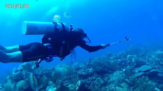 Diving in Belize #1