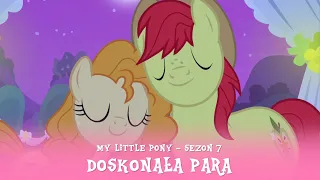 My Little Pony - Sezon 7 Odcinek 13 - Doskonała para