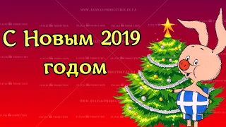 Новый 2019 год. Год свиньи. Индивидуальные поздравления пол заказ