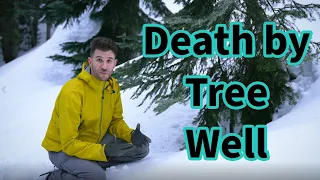 Natures Hidden Ski Traps: The Hazards of Tree Wells
