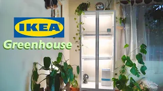 My IKEA Greenhouse Cabinet Build (Lights,Shelves,Humidifiers)