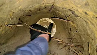 The Embarrassing Conversation After This Came Out Of Their Blocked Drain