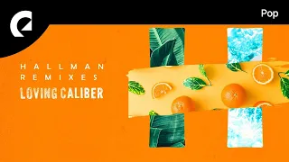 Loving Caliber - Say We're Sorry (Hallman Remix) (Instrumental Version)